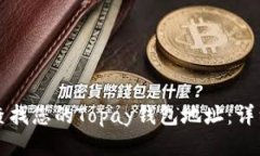 如何查找您的Topay钱包地址：详细指南