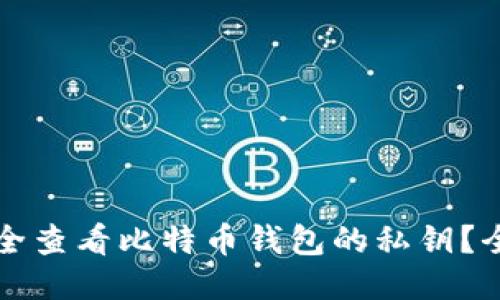 如何安全查看比特币钱包的私钥？全面指南