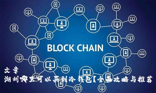 文章
湖州哪里可以买到冷钱包？全面攻略与推荐