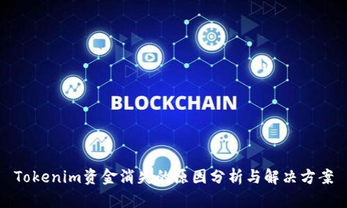 Tokenim资金消失的原因分析与解决方案