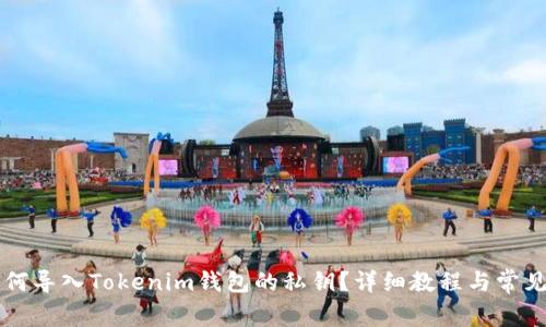 ### 如何导入Tokenim钱包的私钥？详细教程与常见问题解析