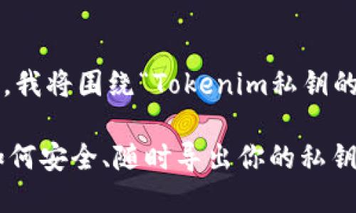 为了给您提供更好的答案，我将围绕“Tokenim私钥的导出”这个话题构建内容。

Tokenim私钥导出指南：如何安全、随时导出你的私钥
