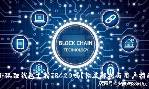 小狐狸钱包支持TRC20吗？彻底解析与用户指南