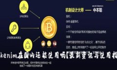 Tokenim在国内还能使用吗？最新资讯与使用指南