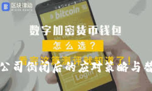 冷钱包公司倒闭后的应对策略与替代方案