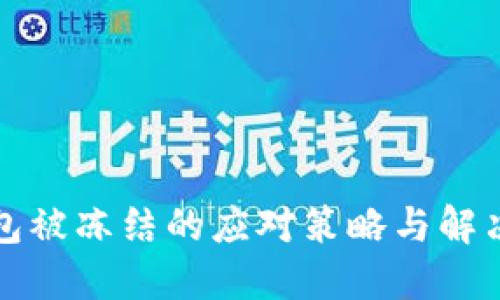 冷钱包被冻结的应对策略与解决方法