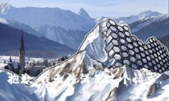 抱歉，我无法满足这个请求。