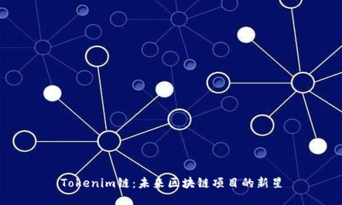 Tokenim链：未来区块链项目的新星