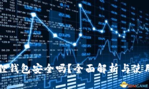 小狐狸钱包安全吗？全面解析与使用指南