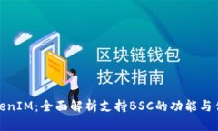 TokenIM：全面解析支持BSC的功能与优势