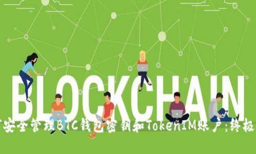 如何安全管理BTC钱包密钥和TokenIM账户：终极指南