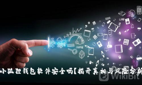 小狐狸钱包软件安全吗？揭开真相与风险分析