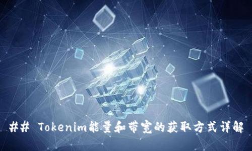 ## Tokenim能量和带宽的获取方式详解