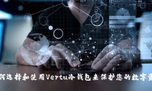如何选择和使用Vertu冷钱包来保护您的数字资产