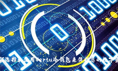 如何选择和使用Vertu冷钱包来保护您的数字资产