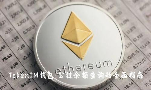 TokenIM钱包：公链余额查询的全面指南