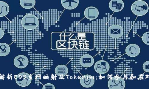 深度解析EOS主网映射及Tokenim：如何参与和应对挑战