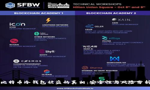 比特币冷钱包被盗的真相：安全性与风险分析