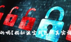波宝钱包是真的吗？揭秘波宝钱包的真实情况及