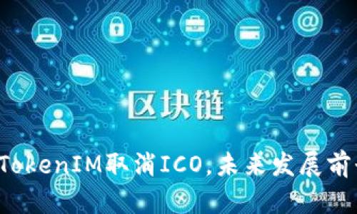 ### TokenIM取消ICO，未来发展前景如何？