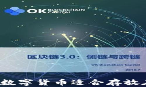 
世界上哪些数字货币适合存放在冷钱包中？