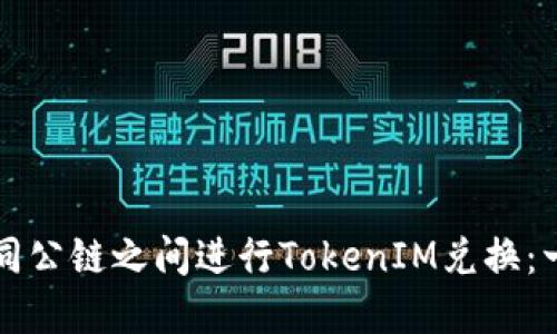 如何在不同公链之间进行TokenIM兑换：一站式指南