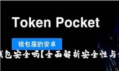 电子冷钱包安全吗？全面解析安全性与使用指南
