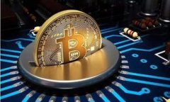 暖钱包与冷钱包的全面解析：选择适合自己的数