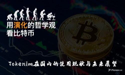 Tokenim在国内的使用现状与未来展望