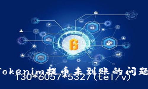 如何解决Tokenim提币未到账的问题：全面指南