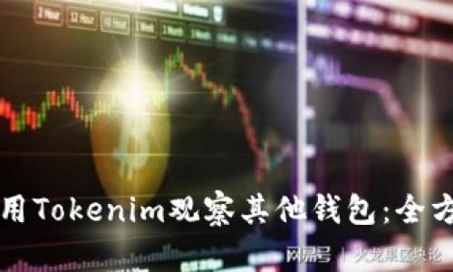 如何使用Tokenim观察其他钱包：全方位指南