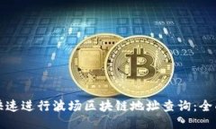 如何快速进行波场区块链地址查询：全面指南