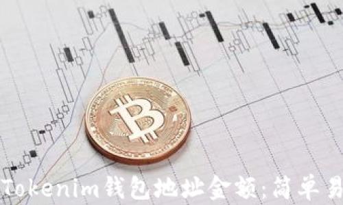 
如何查看Tokenim钱包地址金额：简单易懂的指南