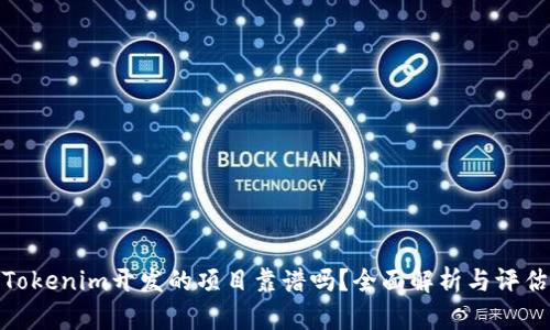 Tokenim开发的项目靠谱吗？全面解析与评估