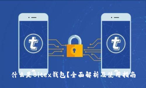 什么是Bitex钱包？全面解析及使用指南