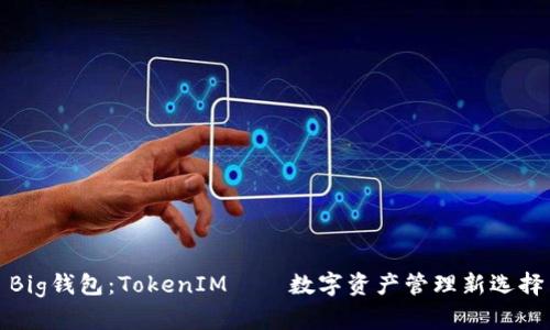 Big钱包：TokenIM——数字资产管理新选择