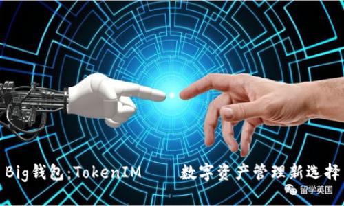 Big钱包：TokenIM——数字资产管理新选择