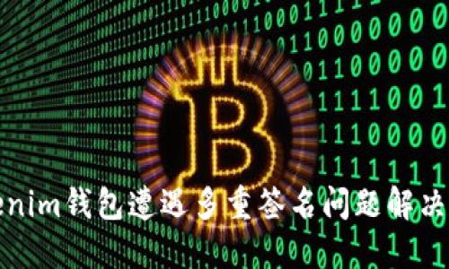 Tokenim钱包遭遇多重签名问题解决指南