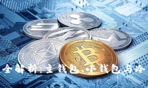 : 数字资产管理全解析：主钱包、小钱包与冷钱包的正确选择