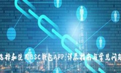如何选择和使用BSC钱包APP：详尽指南与常见问题