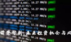 波场币前景分析：未来投资机会与风险解读