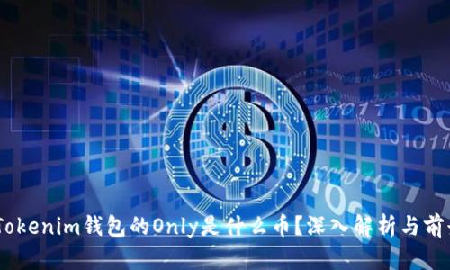 ## Tokenim钱包的Only是什么币？深入解析与前景展望