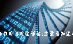 波币的作用与用途详解：您需要知道的一切