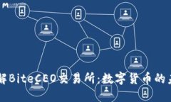 深入了解BiteCEO交易所：数字货币的未来平台