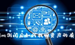 Tokenim倒闭后如何找回资产的有效策略