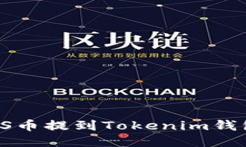 如何将CNNS币提到Tokenim钱包：详细指南