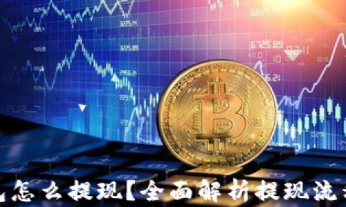 
数字钱包怎么提现？全面解析提现流程与技巧