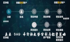 未来 BHD 币价格走势分析与投资策略