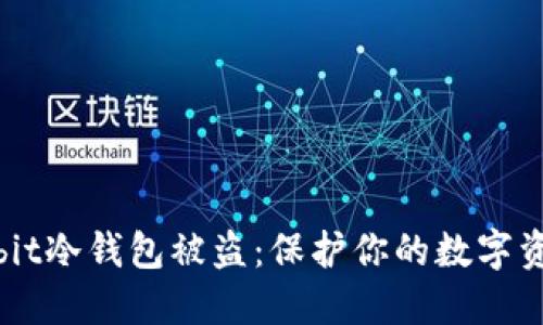 如何防止Ownbit冷钱包被盗：保护你的数字资产的全面指南