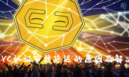 Pi币KYC认证审核延迟的原因及解决方案